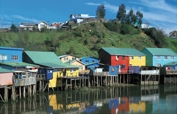 Espíritu de Isla de Chiloé Mediano (A PEDIDO)