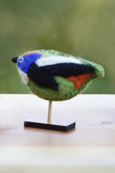 Pájaro Siete Colores en base pequeño