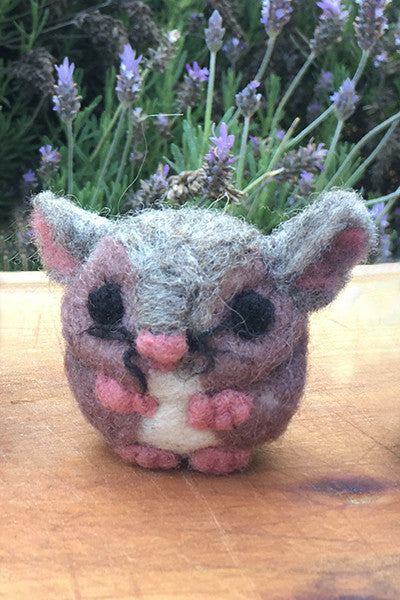 Chinchilla
